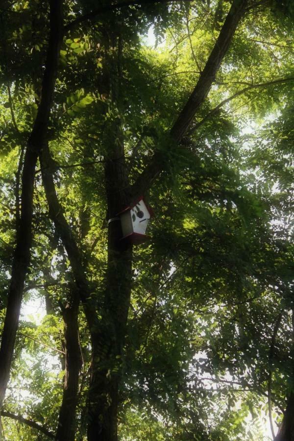 ゴルバッツ Carobni Bregヴィラ エクステリア 写真